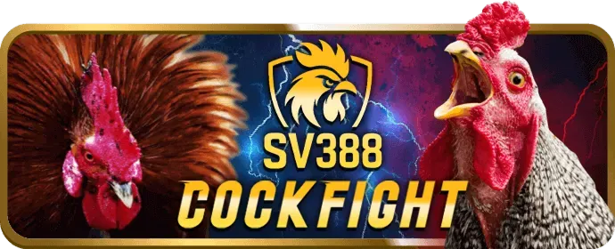 Hình ảnh minh họa lucky 6868 chia sẻ dữ liệu với đối tác